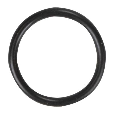 FCA O-ring originale FCA OEM 55216568 ricambio originale