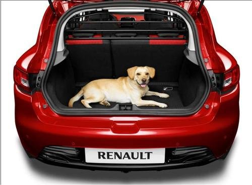 Genuine Renault Clio IV MK4 Guard. New 8201321369 cane